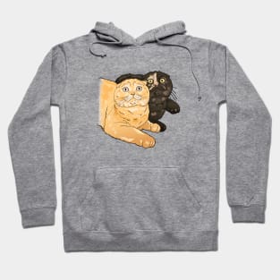 Cleo and Jack Hoodie